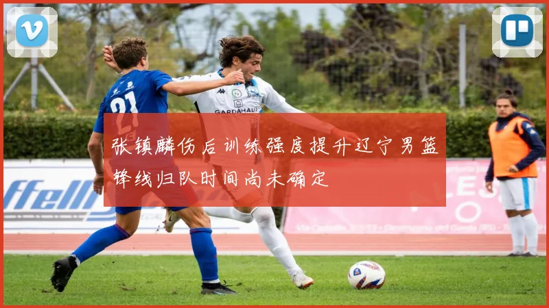 张镇麟伤后训练强度提升辽宁男篮锋线归队时间尚未确定